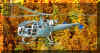 Alouette III V203 a.jpg (230033 Byte)